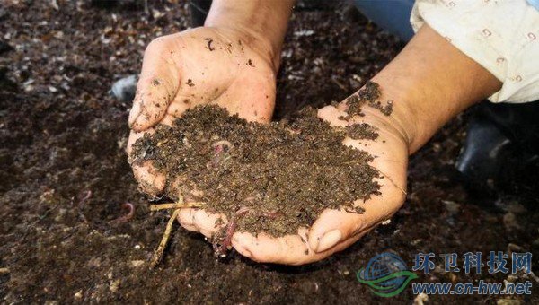 每20噸不值錢的濕垃圾，可以轉(zhuǎn)換成1噸售價(jià)在1萬多元的蚯蚓活體