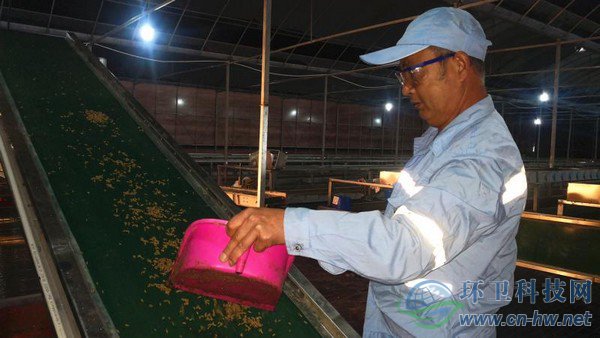 經(jīng)過篩選、蒸煮、烘干、粉碎后的蟲干、蟲粉，市場(chǎng)價(jià)值比蚯蚓活體高出許多 